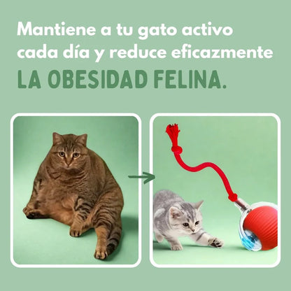 PELOTAVIVA™ - Pelota de aventura interactiva para tus gatos
