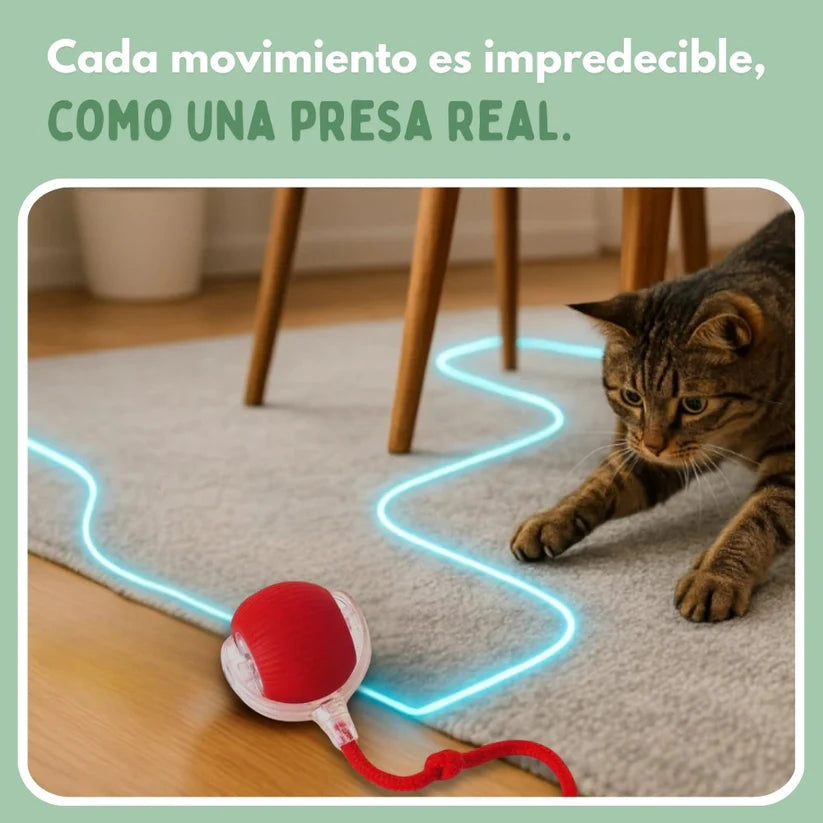 PELOTAVIVA™ - Pelota de aventura interactiva para tus gatos