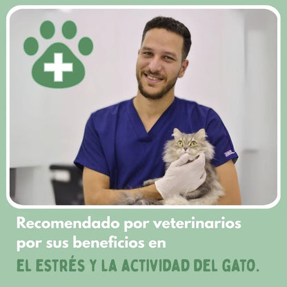 PELOTAVIVA™ - Pelota de aventura interactiva para tus gatos