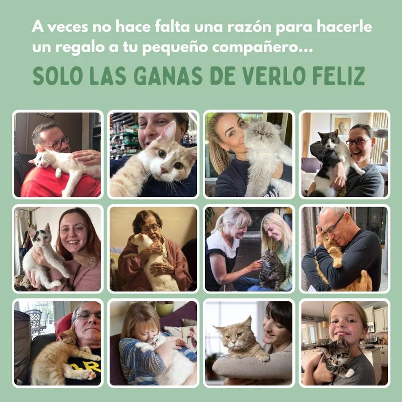 PELOTAVIVA™ - Pelota de aventura interactiva para tus gatos